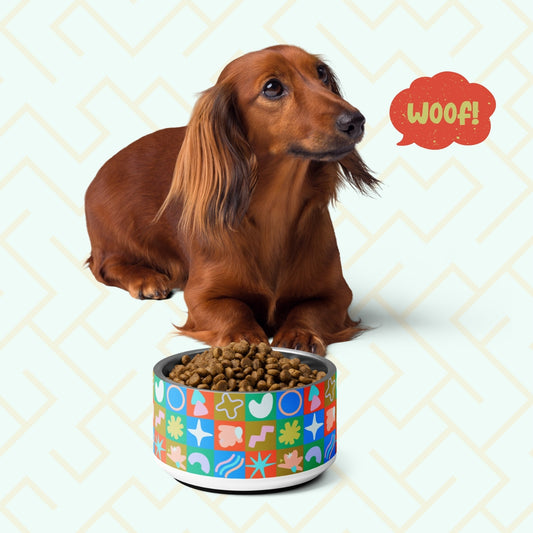 Colour Block Pet Bowl