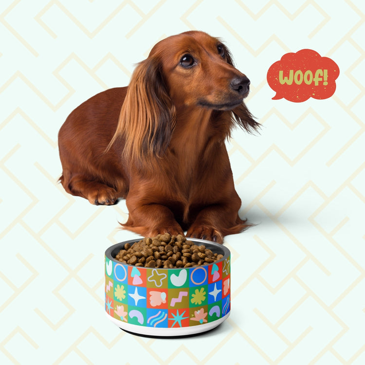 Colour Block Pet Bowl