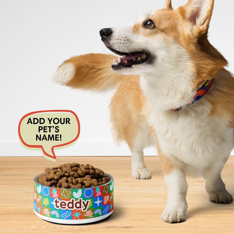 Colour Block Pet Bowl