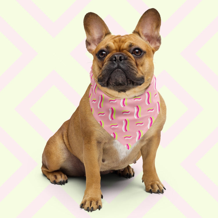 A French Bulldog, wearing the Iced Vovo Bandana by My Favourite Colour is Rainbow, in front of a light background with geometric design. The bandana features a pink background with white, hot pink and lime green wavy lines suggestive of the iconic Iced Vovo biscuit.