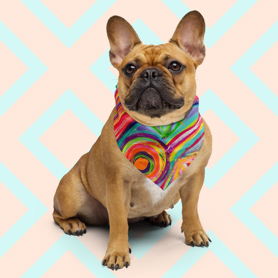 A brown French Bulldog wearing the Karma Kaleidoscope Bandana by My Favourite Colour is Rainbow, sits against a pastel geometric backdrop.