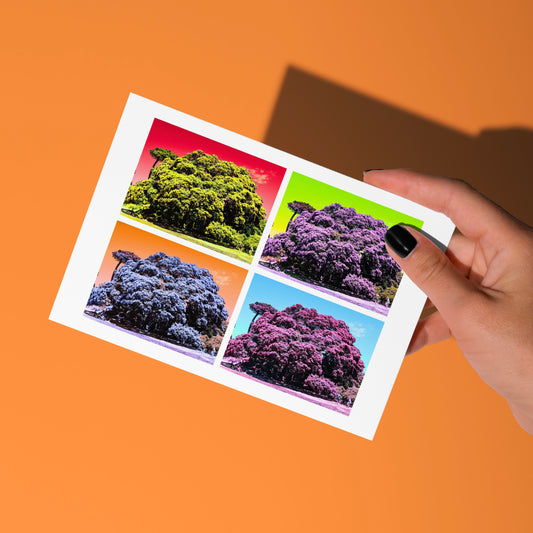 A hand with black nail polish holds My Store’s Pohutukawa Pop Art greeting card (Version 1) against an orange background. The card displays a grid of four pop art New Zealand Pohutukawa trees, each on vibrant backgrounds: red, green, blue, and purple.