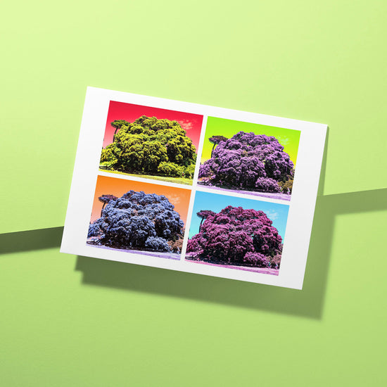 The Pohutukawa Pop Art greeting card from My Store showcases New Zealand’s iconic tree in a four-panel design: green, purple, blue, and pink quadrants on a light green background, perfect for a bold statement.