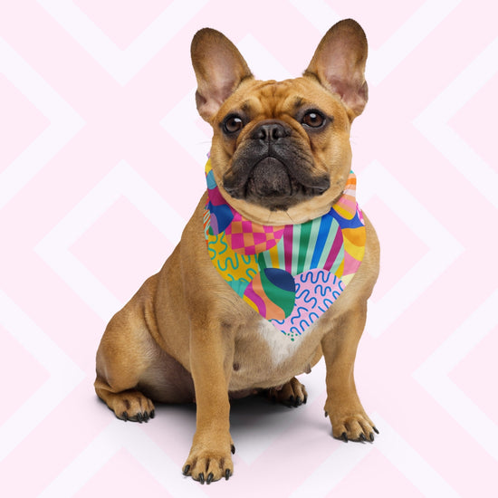 A brown French Bulldog wears the colorful, versatile Squiggs and Stripes Bandana by My Favourite Colour is Rainbow, sitting against a light pink background.  The bandana features a colourful abstract design with circles, waves, stripes, and checkered patterns in pink, blue, green, yellow, and orange.
