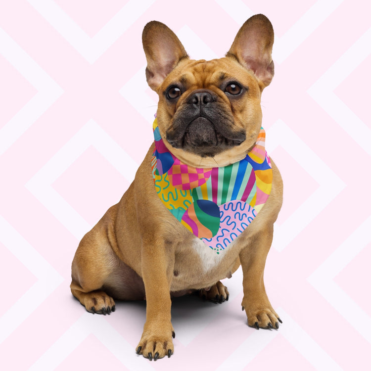 A brown French Bulldog wears the colorful, versatile Squiggs and Stripes Bandana by My Favourite Colour is Rainbow, sitting against a light pink background.  The bandana features a colourful abstract design with circles, waves, stripes, and checkered patterns in pink, blue, green, yellow, and orange.