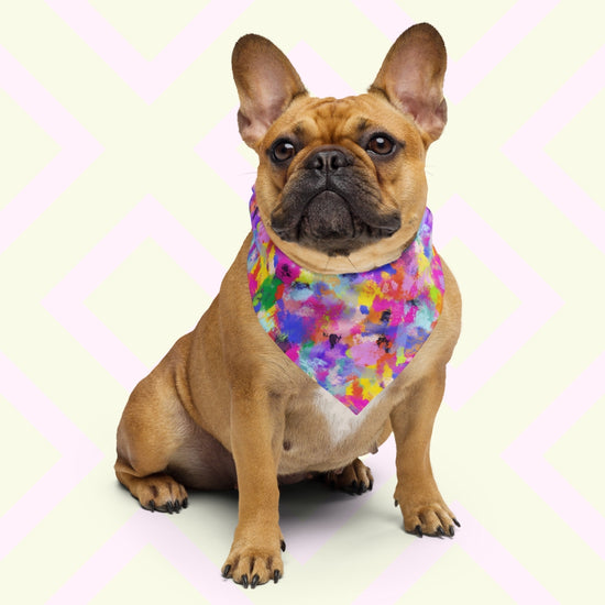 A brown French Bulldog sports a Watercolour Rainbow Bandana by My Favourite Colour is Rainbow against a pastel background. The bandana features a vibrant abstract design with blue, green, pink, orange, and purple splashes.