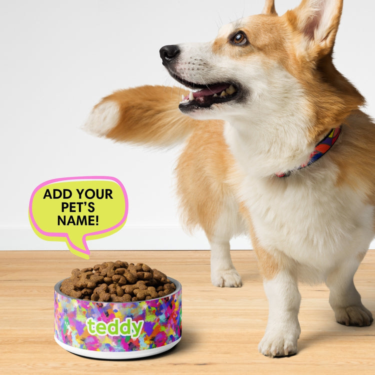 Watercolour Rainbow Pet Bowl