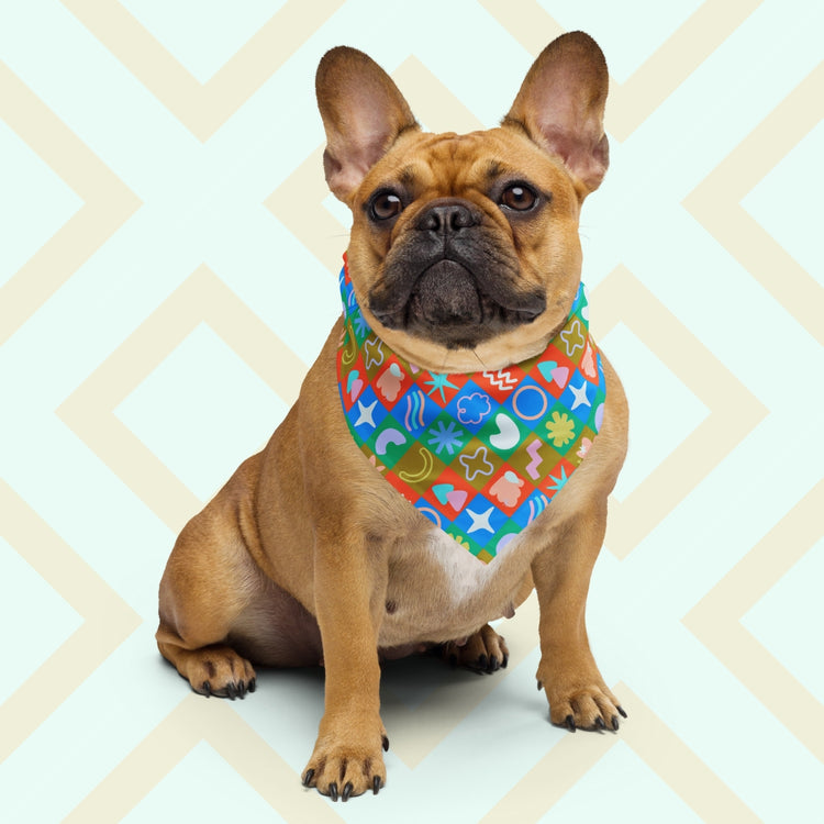 A brown French Bulldog faces forward wearing My Favourite Colour is Rainbows Colour Block Bandana, which boasts playful patterns a retro colour scheme. The backdrop has a light geometric design.