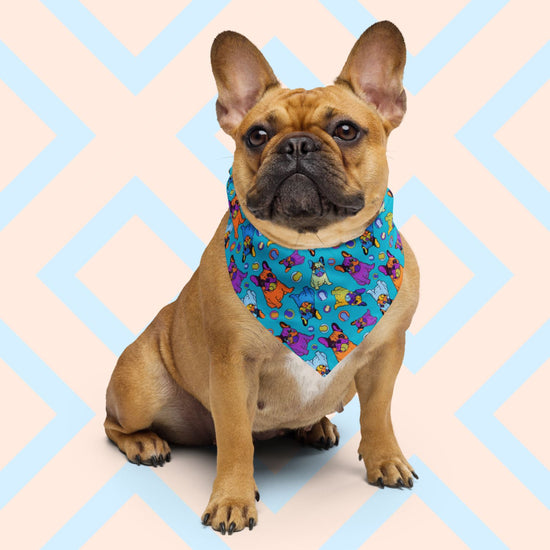 A brown French Bulldog, wearing the colourful Frenchie Fetch, Set, Match Bandana by My Favourite Colour is Rainbow.  The Frenchie Fetch, Set, Match Bandana showcases purple, orange, yellow and blue french bulldogs and tennis balls on a blue backdrop. 