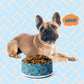 Frenchie Fetch, Set, Match Pet Bowl