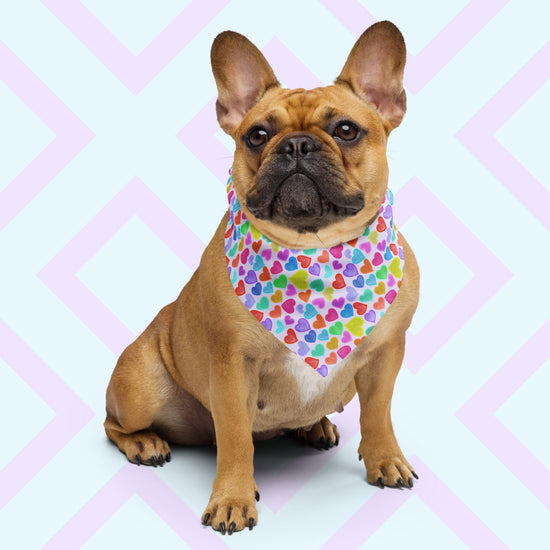 A brown French Bulldog wears the Heart Attack Bandana by My Favourite Colour is Rainbow, set against a light blue background with a pink geometric pattern. The bandana features a vibrant, cheerful pattern of densely packed, colourful hearts in pink, blue, purple, green, and orange on a light background.