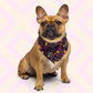 A brown French Bulldog proudly wears the In the Midnight Garden Bandana by My Favourite Colour is Rainbow, featuring vibrant floral patterns. The light pink geometric background complements this stylish accessory as the dog gazes at the camera.