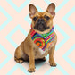 A brown French Bulldog wearing the Karma Kaleidoscope Bandana by My Favourite Colour is Rainbow, sits against a pastel geometric backdrop. 