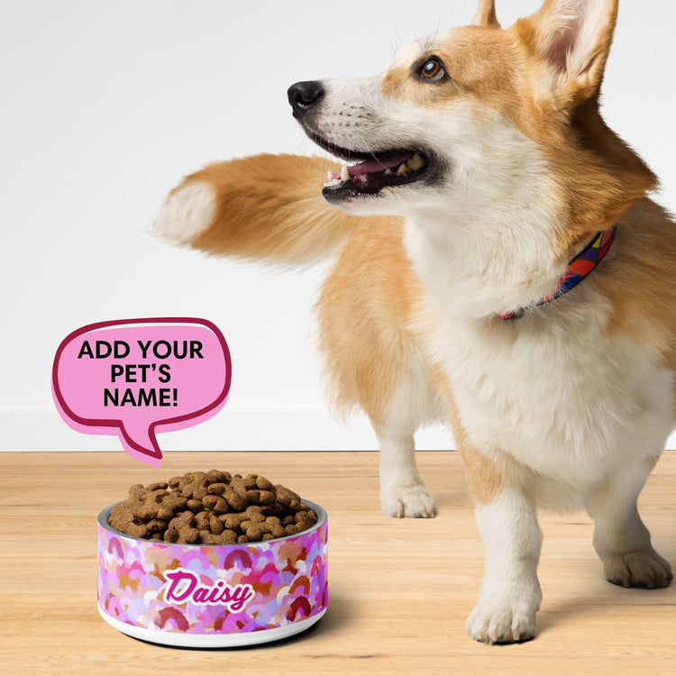 Pink Rainbow Pet Bowl