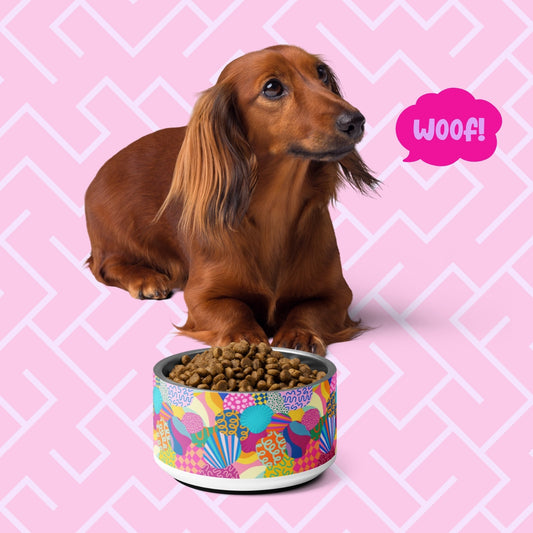 Squiggs and Stripes Pet Bowl