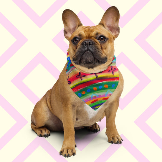 A small brown French Bulldog sits facing forward, sporting The Rainbow Connection Bandana by My Favourite Colour is Rainbow.  